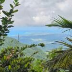 Taken During Mount Britton Tower Trail Hike